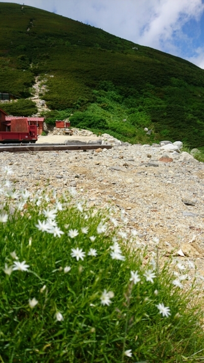 b0148050_08404071.jpg