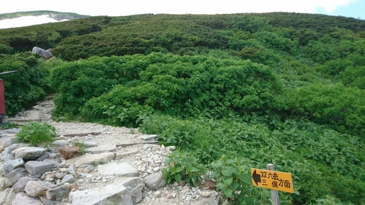 b0148050_08410122.jpg