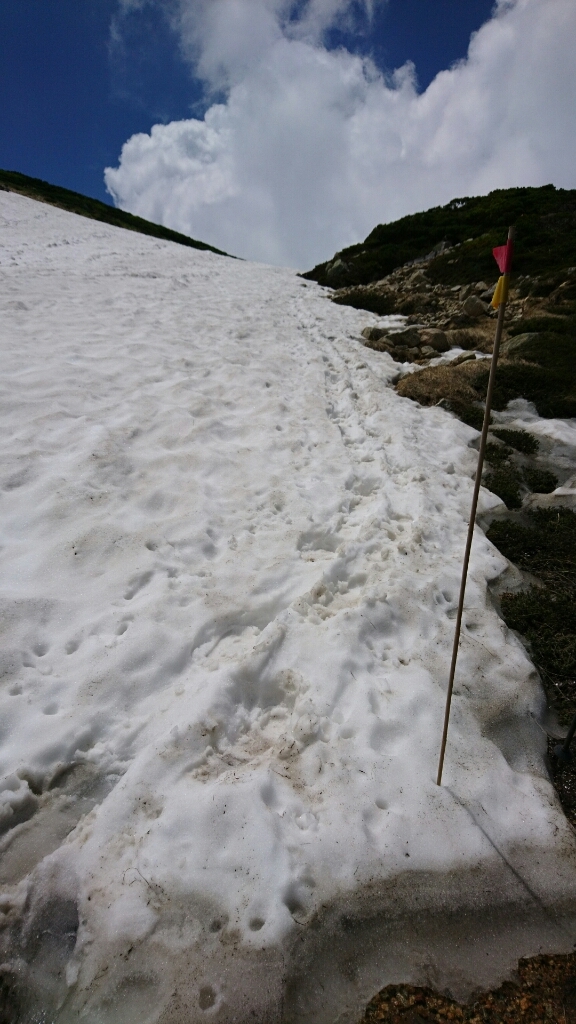 b0148050_12212162.jpg