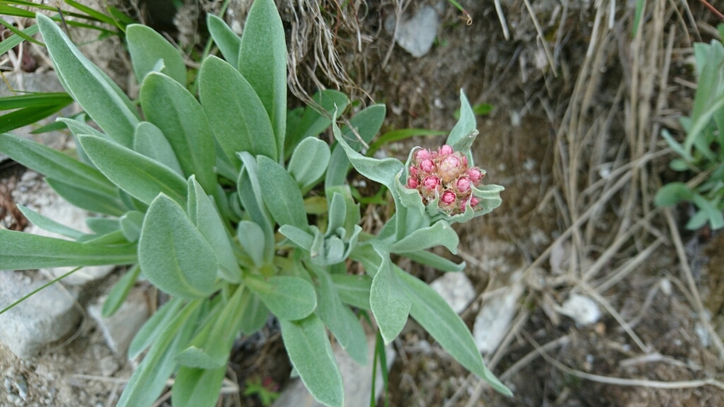 b0148050_12363734.jpg