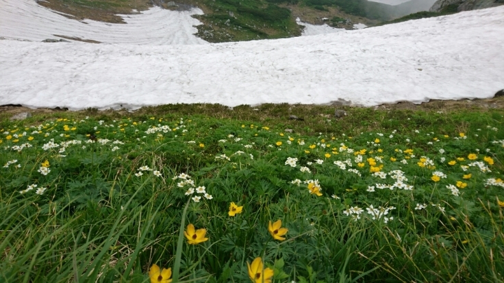 b0148050_12364525.jpg