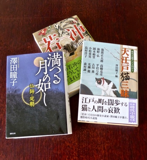 若い作家の本を 光と影をおいかけて