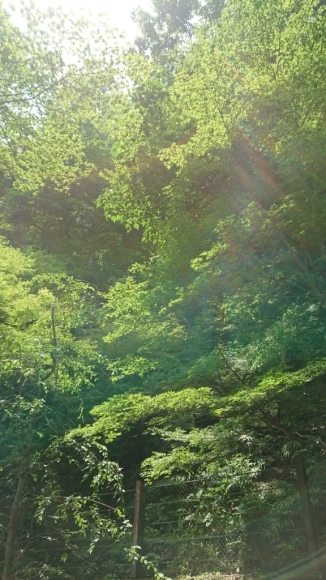 d0367751_00411636.jpg