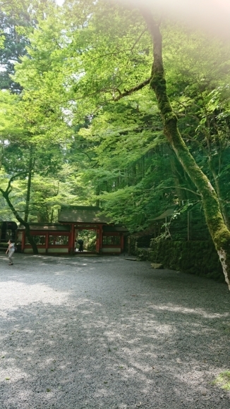 貴船神社_d0367751_13503271.jpg