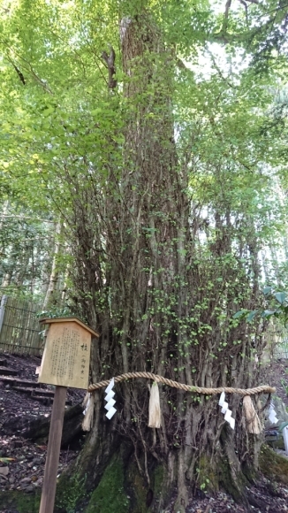 貴船神社_d0367751_14035331.jpg