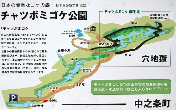 チャツボミゴケ公園 群馬で生まれ育った男のブログ チャツボミゴケ公園 群馬で生まれ育った男のブログ