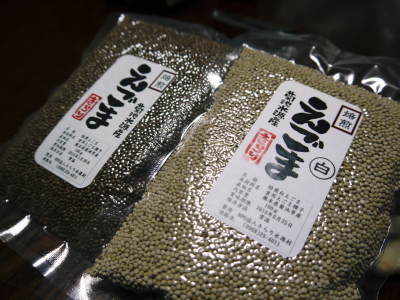 無農薬・無化学肥料で育てる「菊池水源産エゴマ」 平成29年度の黒エゴマ定植の様子_a0254656_18052202.jpg