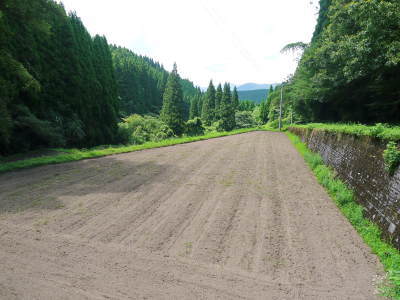 無農薬・無化学肥料で育てる「菊池水源産エゴマ」 平成29年度の黒エゴマ定植の様子_a0254656_19000913.jpg
