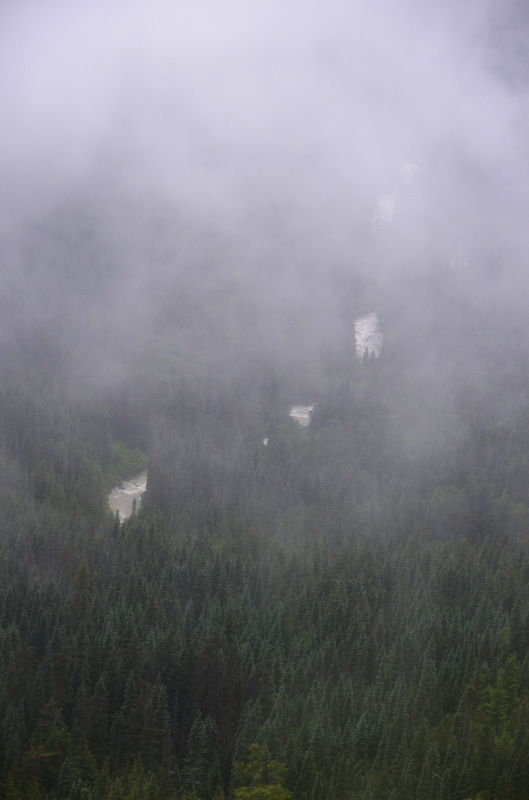 7月11日（火）すべては霧の中のスキャグウエイ：2017ルビープリンセスアラスカクルーズ10_f0054556_11343476.jpg