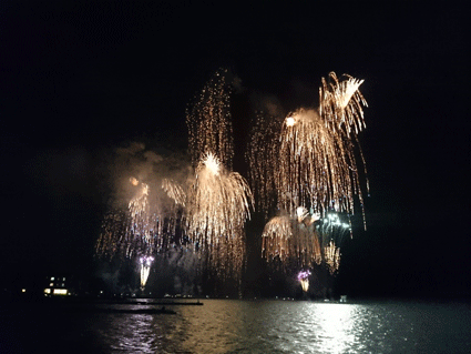 b0129758_08383561.gif