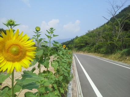 b0368362_07005235.jpg