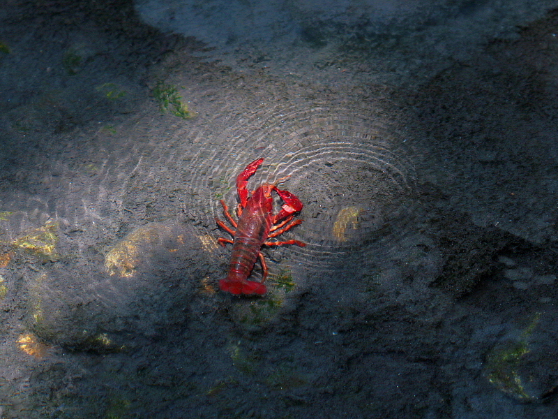 c0305565_17492279.jpg