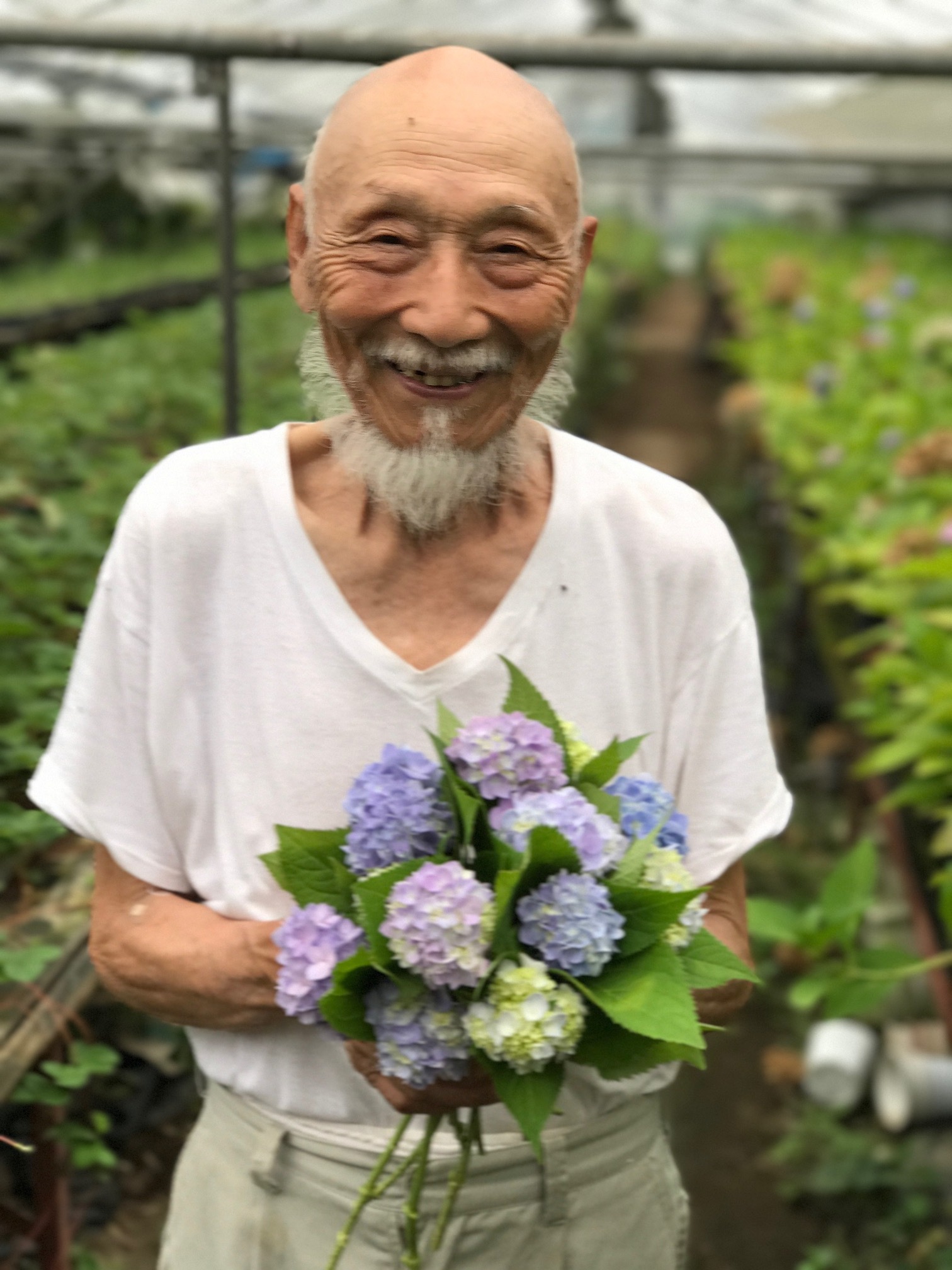 紫陽花リース作ろ、グリーンカレー食べよう会_b0137969_06551669.jpg