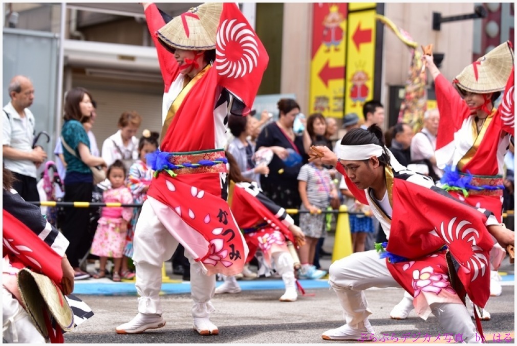 浦和よさこい　2017　（５）かつみ獅子蓮花_b0104774_23343560.jpg