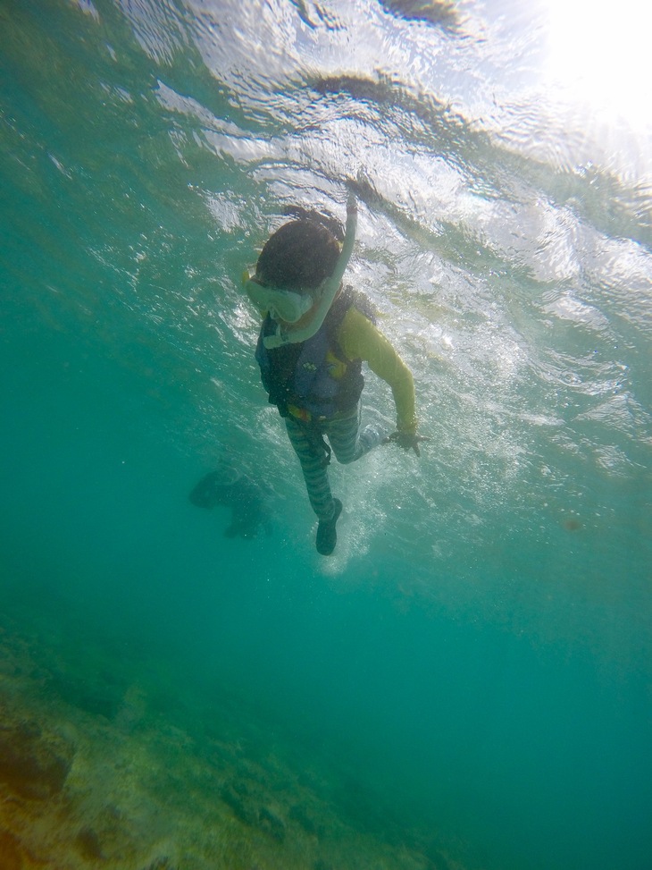 わんぱく冒険学校B〔２日目〕ウミガメと一緒に泳いだ青い海、午後は遠くまで泳ぎだしてみました。_d0363878_1934880.jpg