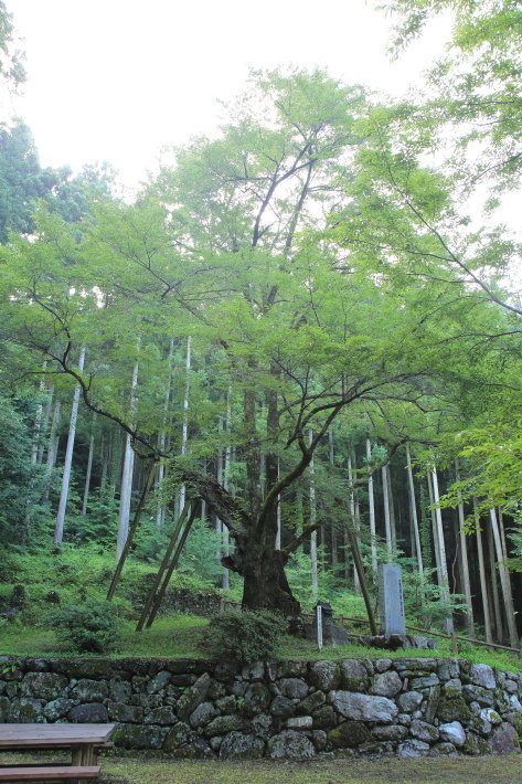 c0358784_21062494.jpg