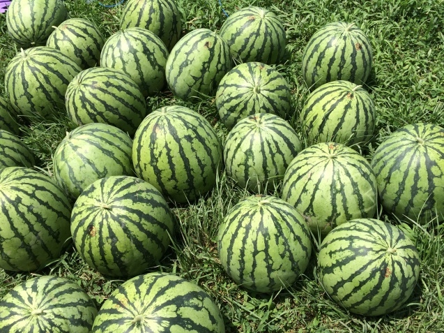 f0379286_20573388.jpeg
