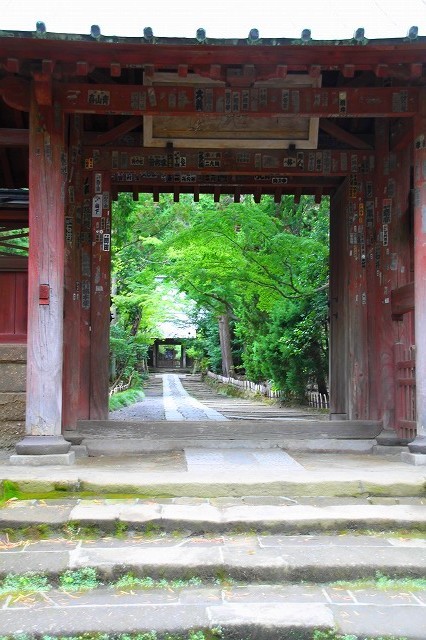 鎌倉　海蔵寺と寿福寺_f0374092_10354810.jpg