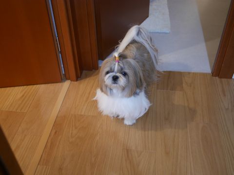 c0090198_20554861.jpg