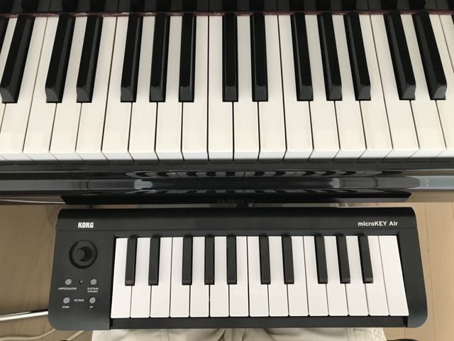<ピアノ演奏するための、手や指の大きさや強さ>ブログ:ウォンウィンツァン_f0236202_1212154.jpg