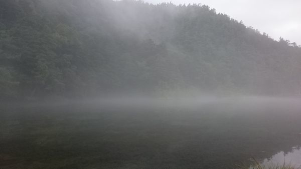 f0006510_20565064.jpg