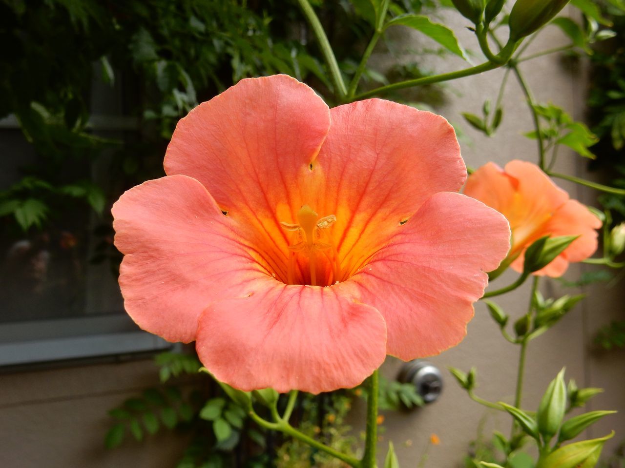 「枝・葉・草」の日_c0025115_20112785.jpg