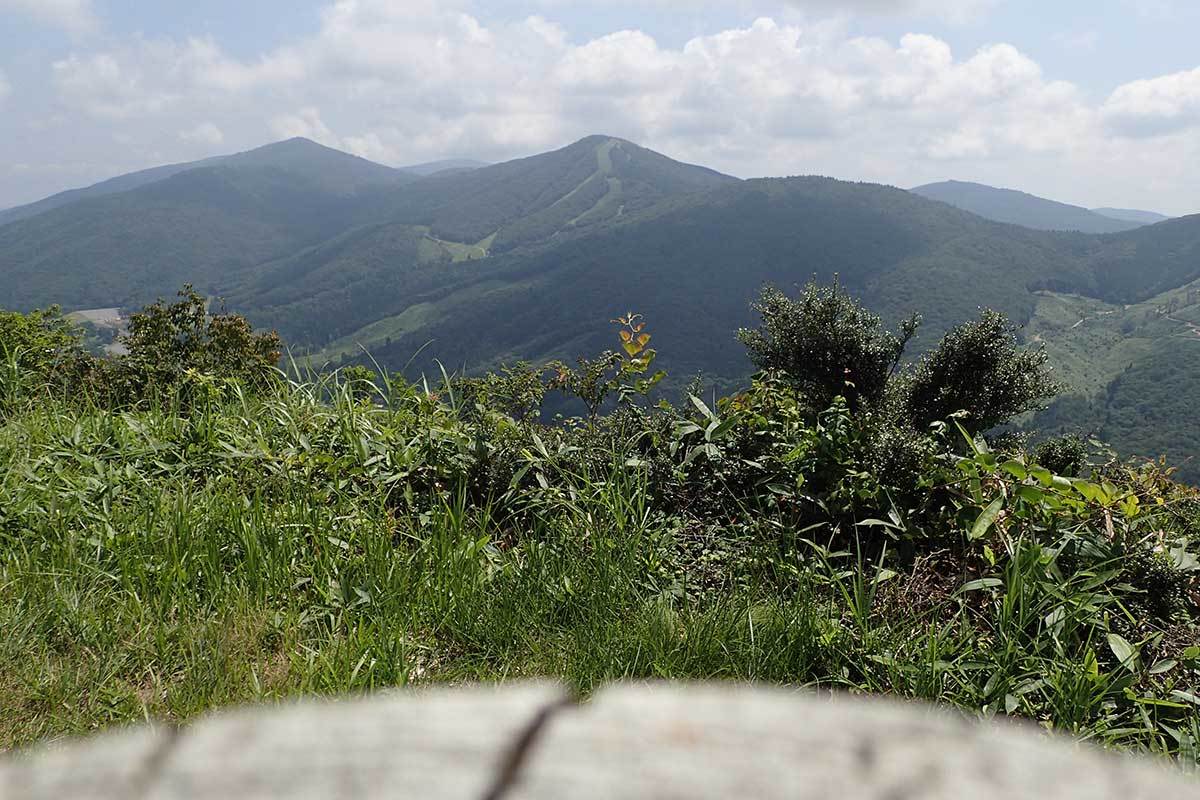 私の百名山　36/100　中野冠山（広島県北広島町）2_c0064025_19552756.jpg