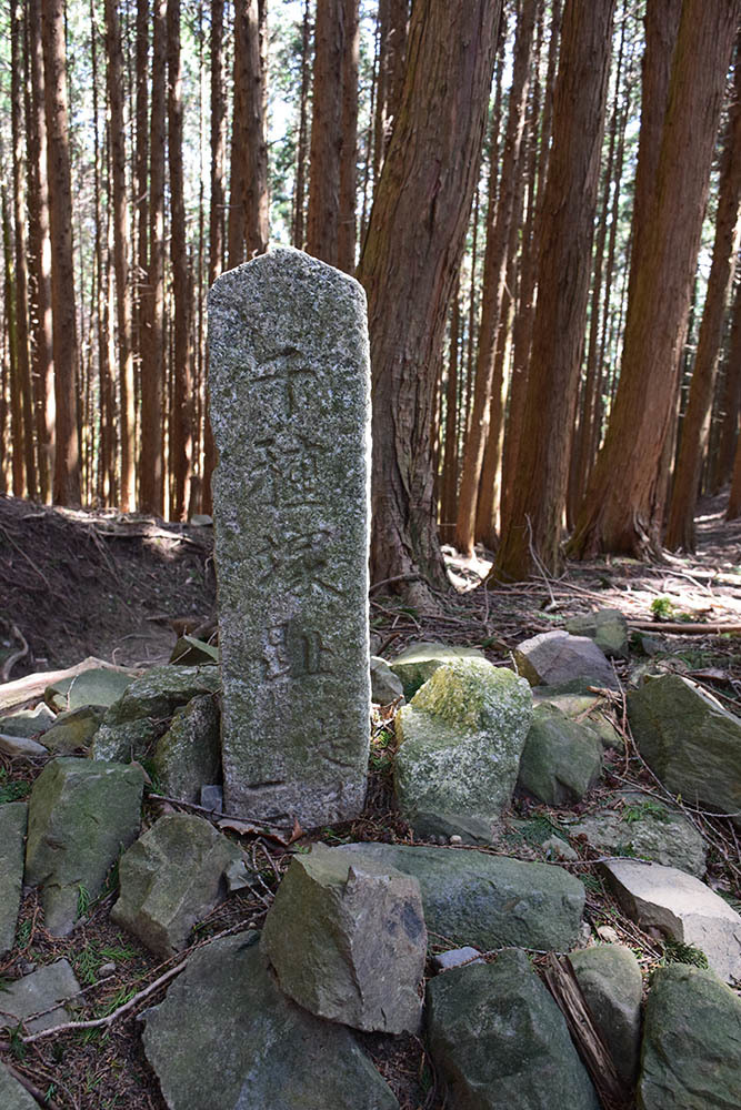 太平記を歩く。　その１０７　「千種忠顕戦死之地」　京都市左京区_e0158128_17581499.jpg