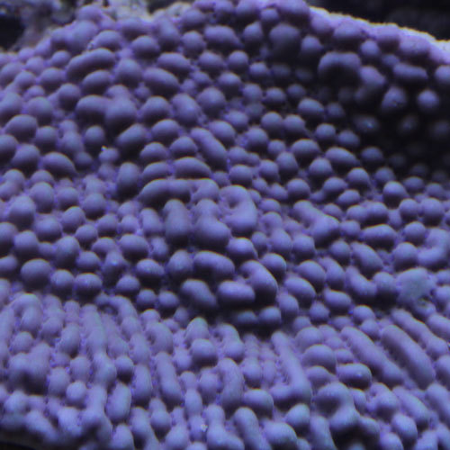 d0221436_22421693.jpg