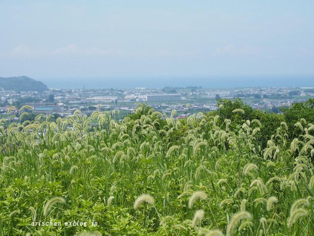 瀬戸内海の風景＠真夏～♫_f0295238_14313300.jpg