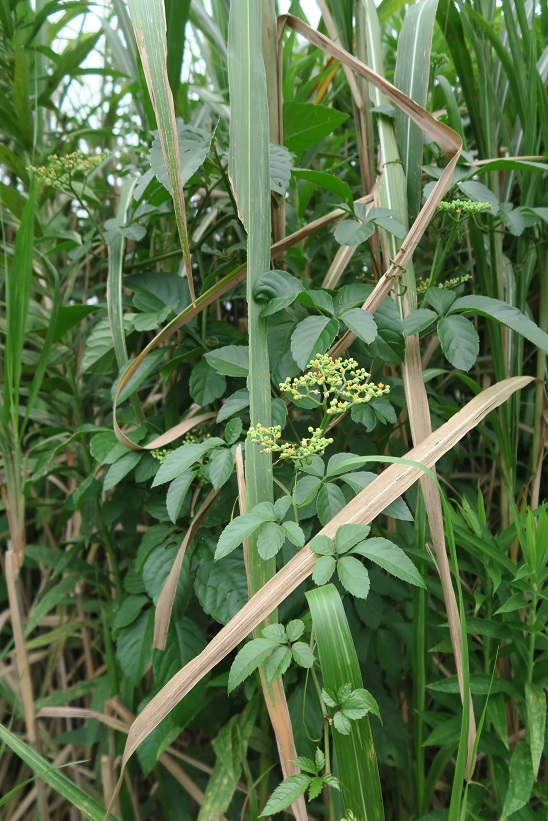 d0333943_06244589.jpg