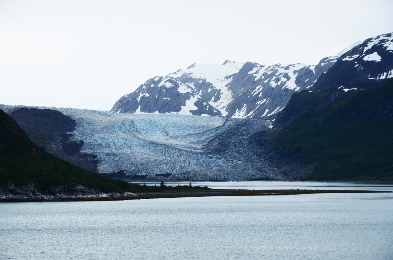 7月12日（水）メインイベント！グレーシャーベイ国立公園クルーズ。：2017ルビープリンセスアラスカクルーズ11_f0054556_17035953.jpg