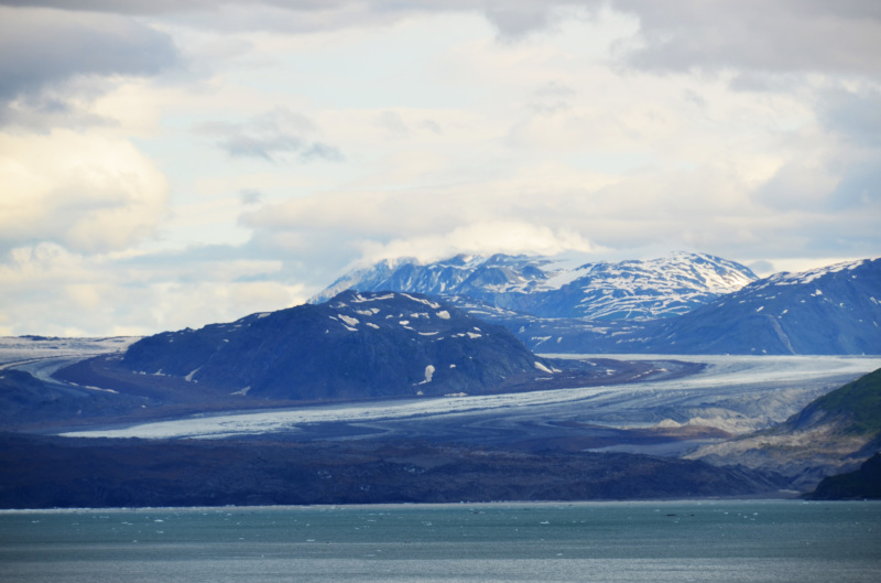 7月12日（水）メインイベント！グレーシャーベイ国立公園クルーズ。：2017ルビープリンセスアラスカクルーズ11_f0054556_17042724.jpg