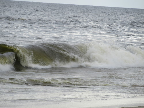 e0364065_18083359.jpg