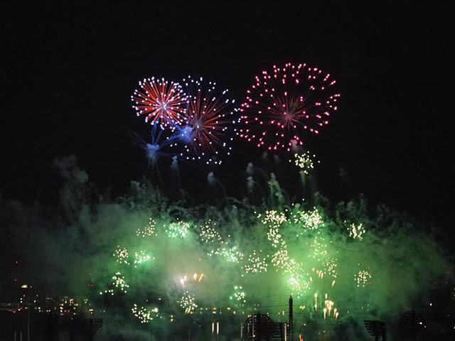 さいたま市花火大会 大和田公園会場 風任せ自由人