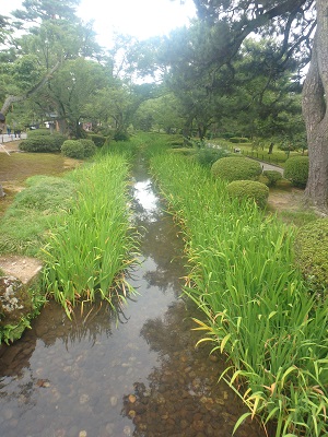 金沢観光_d0195183_1821433.jpg