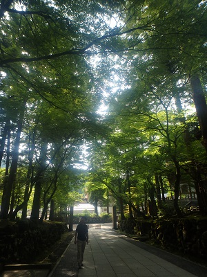 永平寺_d0195183_2323081.jpg