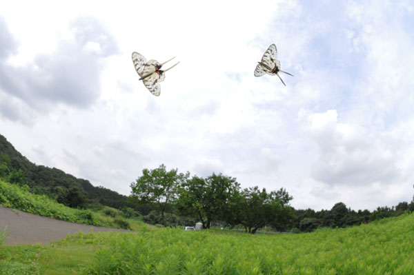 c0049095_2244378.jpg