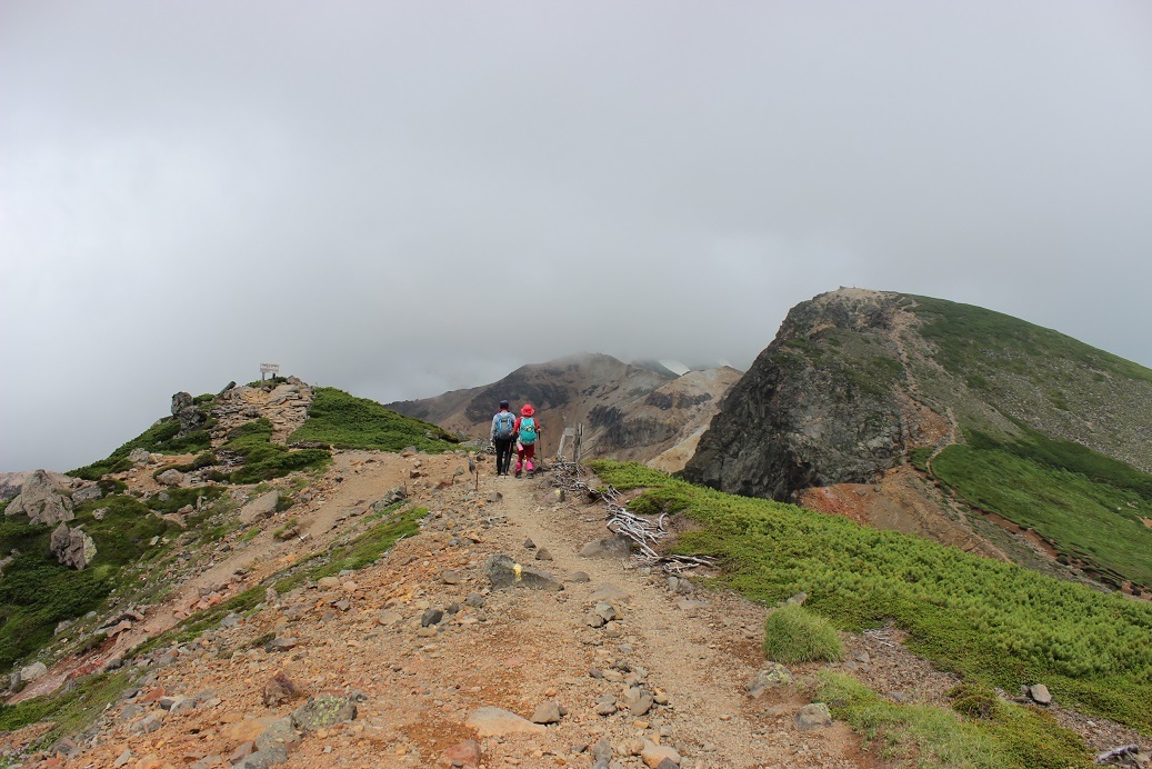  富良野岳~上ホロカメットク山、2017.7.24ー同行者からの写真ー_f0138096_22263164.jpg