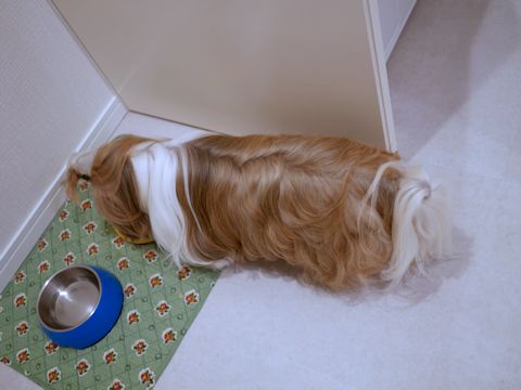 c0090198_2153061.jpg