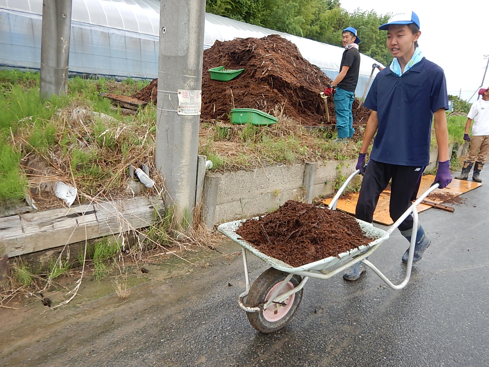 バガス堆肥撒き・農福連携ネギ畑除草・農機具掃除_e0270198_1656384.jpg