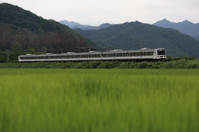 muetrain NN入場回送_c0051299_22152321.jpg