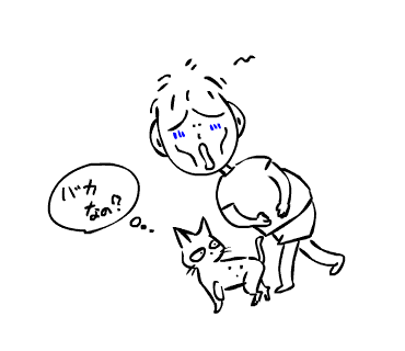 c0011300_22333411.gif