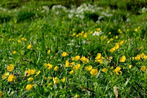 e0304001_23303207.jpg