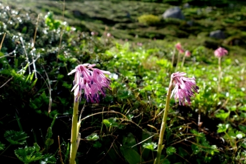 e0304001_23303925.jpg