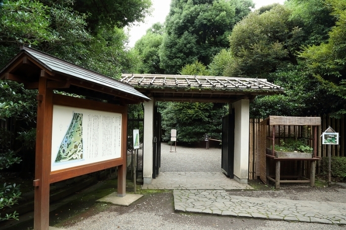 武蔵野の山野草と湧水の庭 国分寺市 殿ヶ谷戸庭園 旅プラスの日記