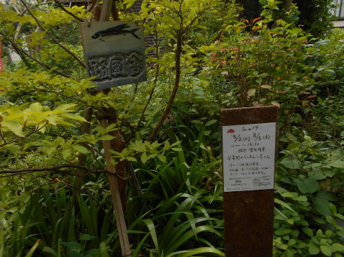 f0083803_16421059.jpg