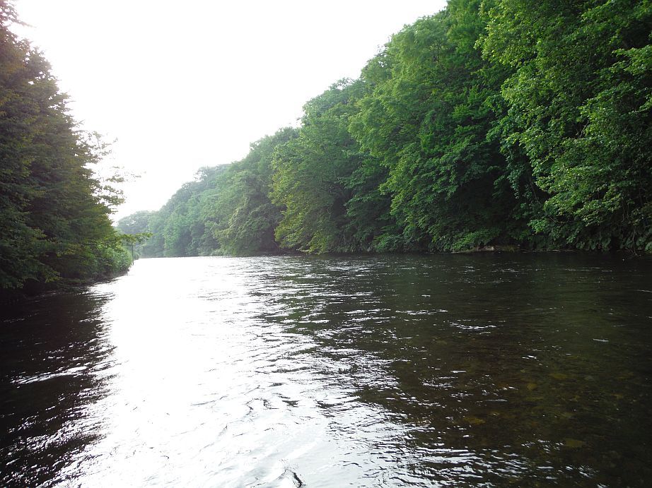 b0172805_16244967.jpg