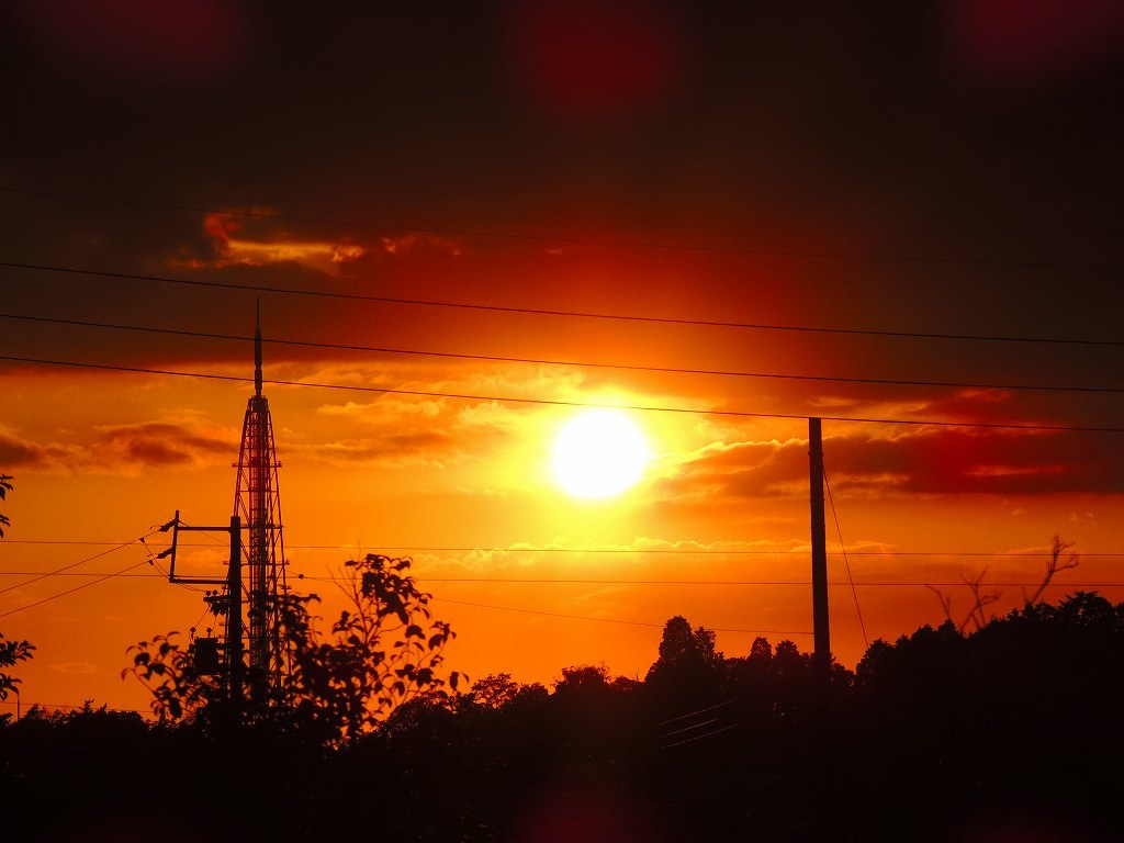 e0372207_21122477.jpg