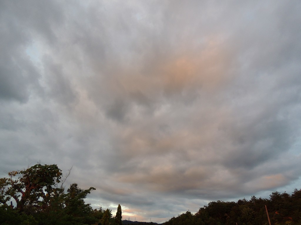 e0372207_21123466.jpg
